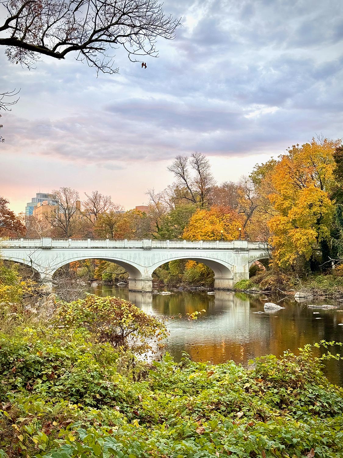 Van Buren Street Bridge over the Brandywine with I-95 above, autumn morning